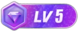 等级-LV5-ZDZL