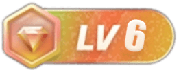 等级-LV6-ZDZL