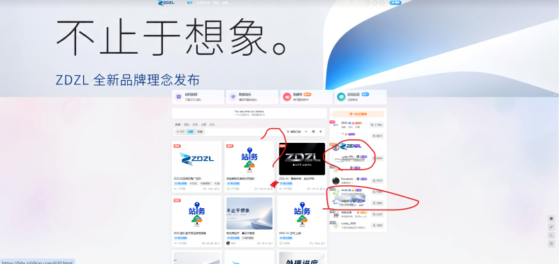 发现一个bug-ZDZL